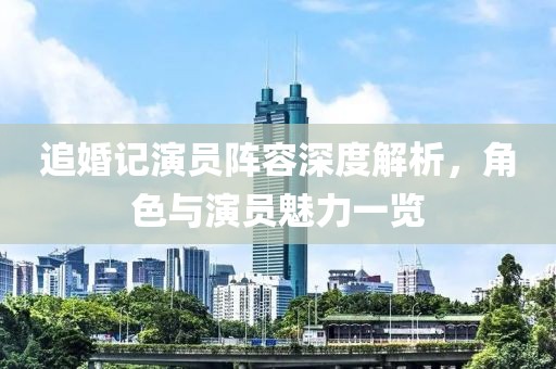 追婚记演员阵容深度解析，角色与演员魅力一览
