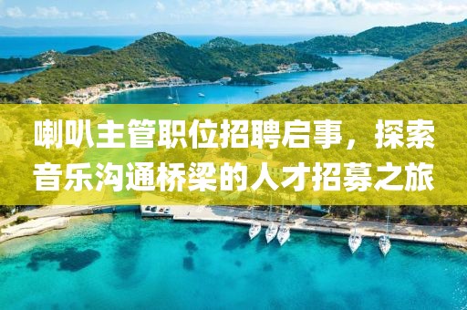 喇叭主管职位招聘启事，探索音乐沟通桥梁的人才招募之旅