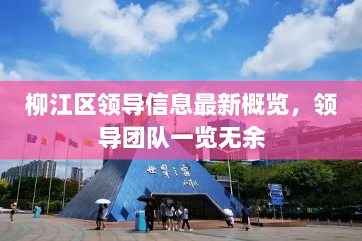 柳江区领导信息最新概览，领导团队一览无余