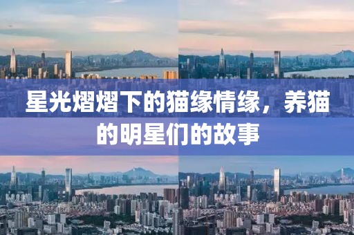星光熠熠下的猫缘情缘，养猫的明星们的故事