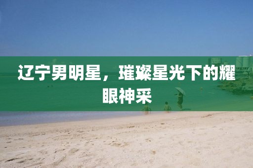 辽宁男明星，璀璨星光下的耀眼神采