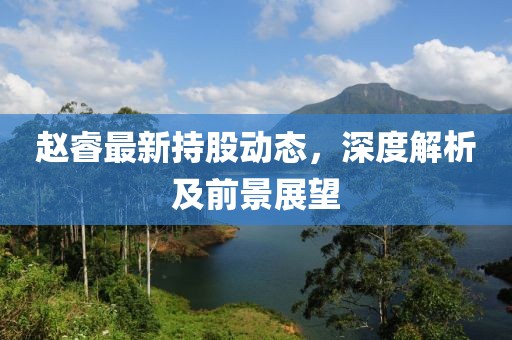 赵睿最新持股动态，深度解析及前景展望