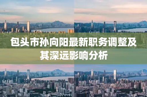 包头市孙向阳最新职务调整及其深远影响分析