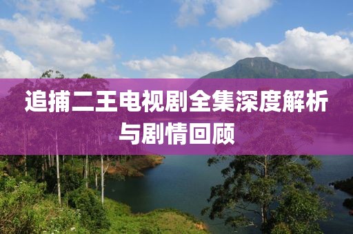 追捕二王电视剧全集深度解析与剧情回顾