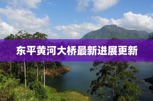 东平黄河大桥最新进展更新