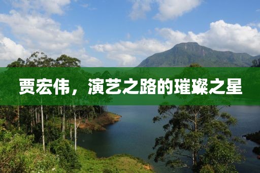 贾宏伟，演艺之路的璀璨之星