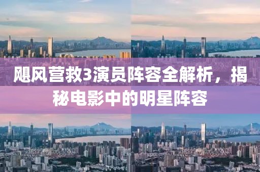 飓风营救3演员阵容全解析，揭秘电影中的明星阵容