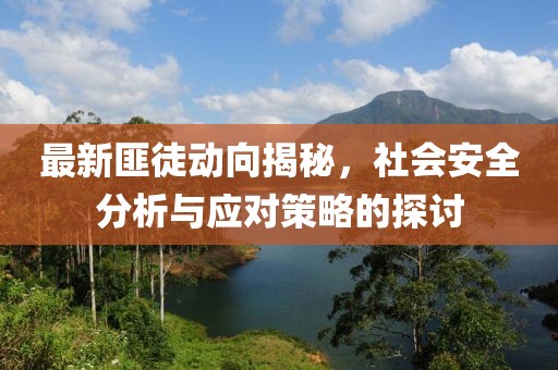 最新匪徒动向揭秘，社会安全分析与应对策略的探讨