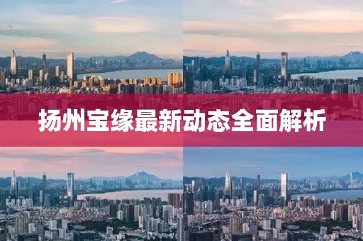 扬州宝缘最新动态全面解析