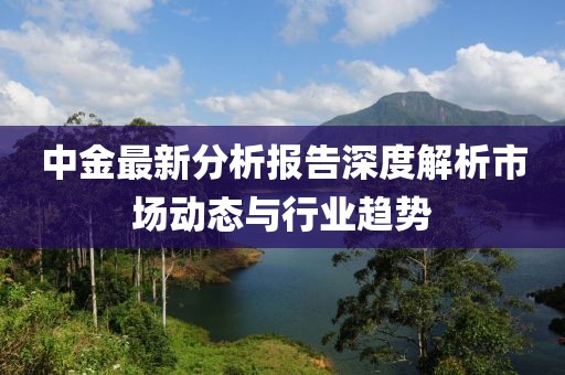 中金最新分析报告深度解析市场动态与行业趋势