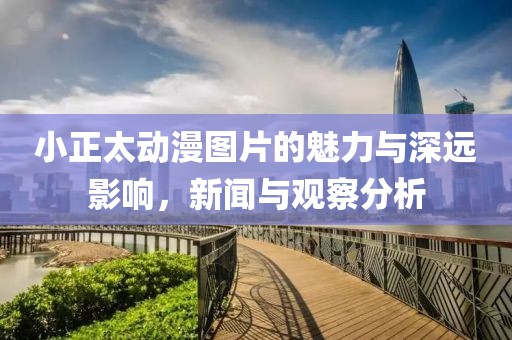 小正太动漫图片的魅力与深远影响，新闻与观察分析