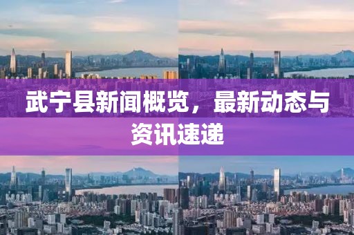 武宁县新闻概览，最新动态与资讯速递