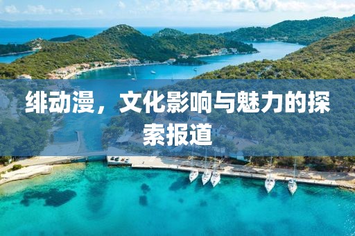绯动漫，文化影响与魅力的探索报道