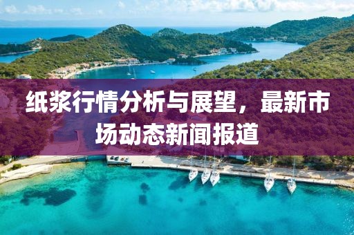 纸浆行情分析与展望，最新市场动态新闻报道
