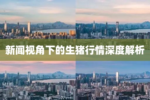 新闻视角下的生猪行情深度解析