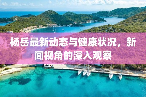 杨岳最新动态与健康状况，新闻视角的深入观察