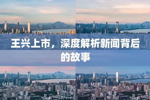 王兴上市，深度解析新闻背后的故事