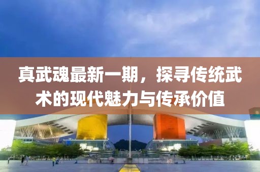 真武魂最新一期，探寻传统武术的现代魅力与传承价值