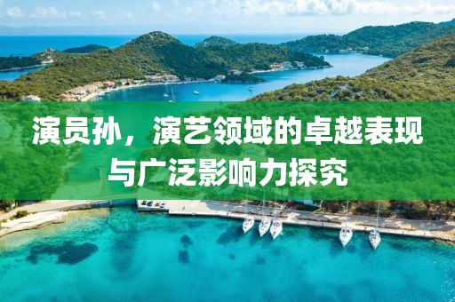 演员孙，演艺领域的卓越表现与广泛影响力探究
