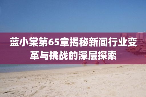 蓝小棠第65章揭秘新闻行业变革与挑战的深层探索