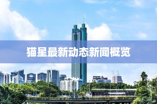 猫星最新动态新闻概览