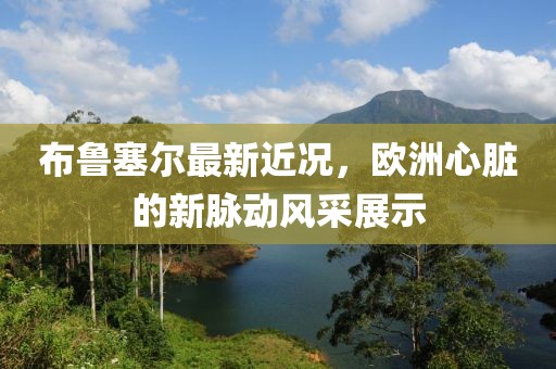 布鲁塞尔最新近况