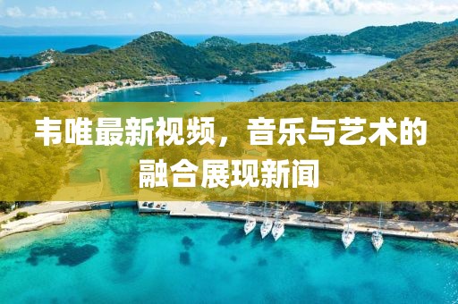 韦唯最新视频，音乐与艺术的融合展现新闻