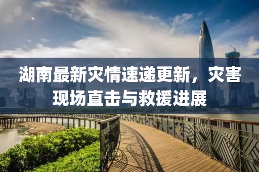 湖南最新灾情速递更新，灾害现场直击与救援进展