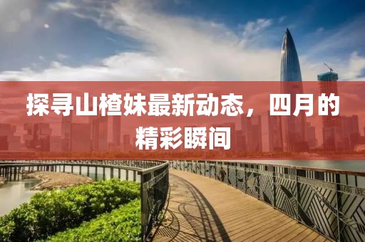 探寻山楂妹最新动态，四月的精彩瞬间
