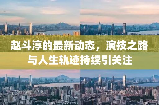 赵斗淳最新
