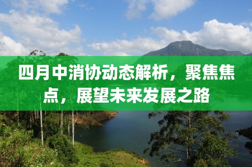 四月中消协动态解析，聚焦焦点，展望未来发展之路