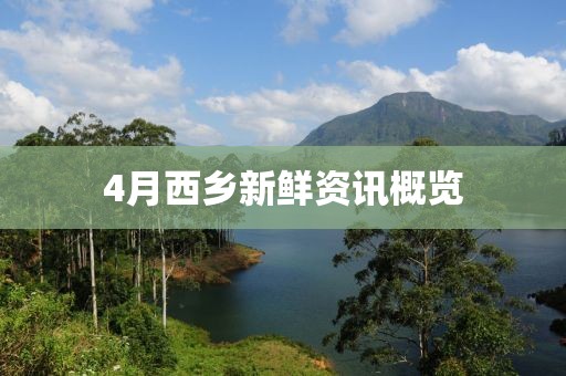 4月西乡新鲜资讯概览