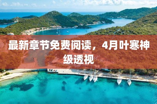 最新章节免费阅读，4月叶寒神级透视