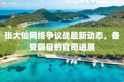 张大仙官司最新