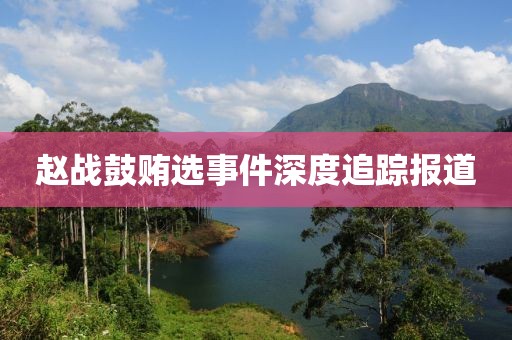 赵战鼓贿选事件深度追踪报道