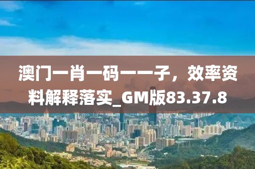 澳门一肖一码一一子，效率资料解释落实_GM版83.37.8