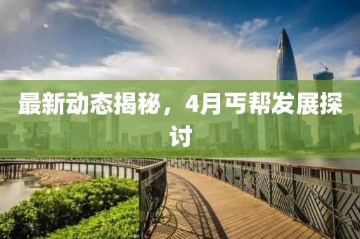 最新动态揭秘，4月丐帮发展探讨