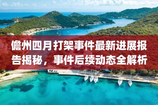 儋州四月打架事件最新进展报告揭秘，事件后续动态全解析