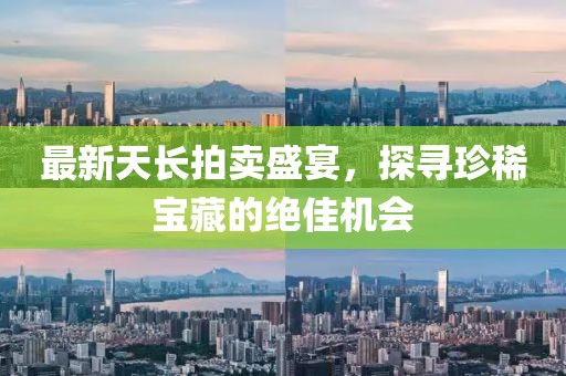 最新天长拍卖
