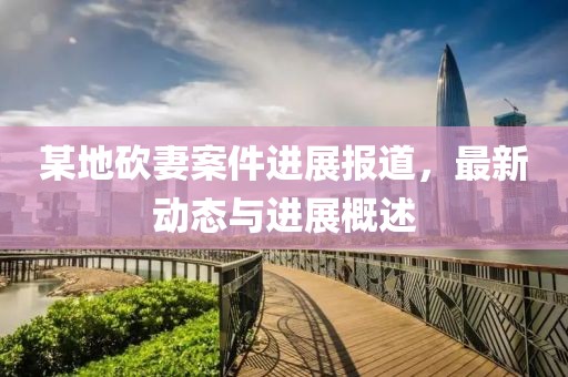 某地砍妻案件进展报道，最新动态与进展概述