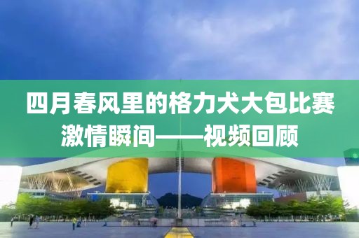 四月春风里的格力犬大包比赛激情瞬间——视频回顾