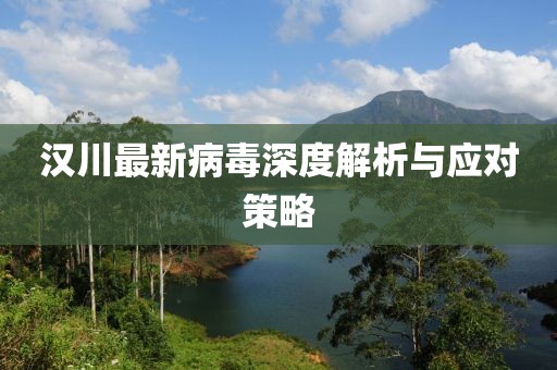 汉川最新病毒