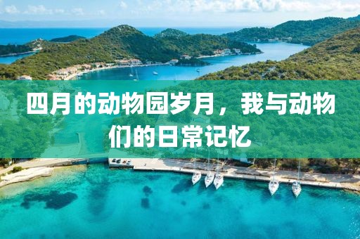 四月的动物园岁月，我与动物们的日常记忆