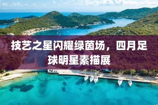 技艺之星闪耀绿茵场，四月足球明星素描展