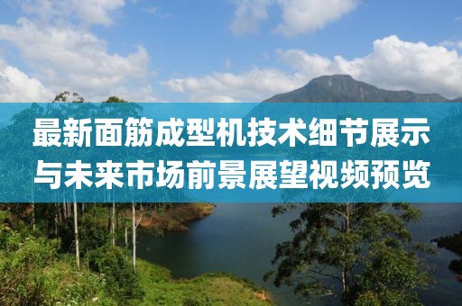 最新面筋成型机技术细节展示与未来市场前景展望视频预览