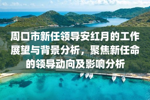 周口市新任领导安红月的工作展望与背景分析，聚焦新任命的领导动向及影响分析
