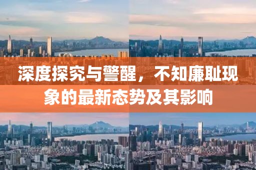 不知廉耻最新