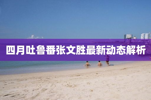 四月吐鲁番张文胜最新动态解析