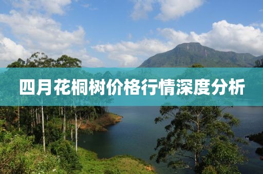 四月花桐树价格行情深度分析