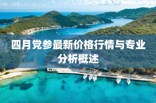 陆飞文